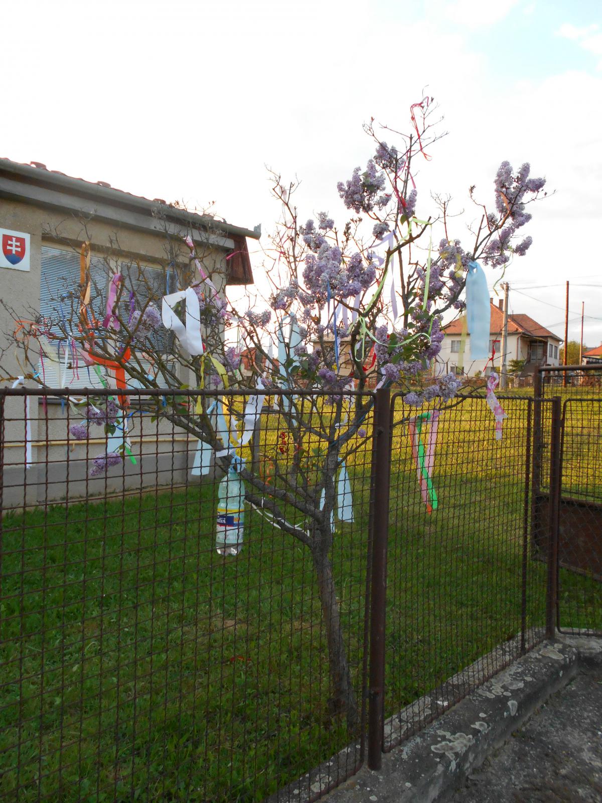 Fotogaléria Vatra 2015 (31) Vatra 2015